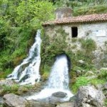 images (1)