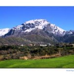 images.jpg2